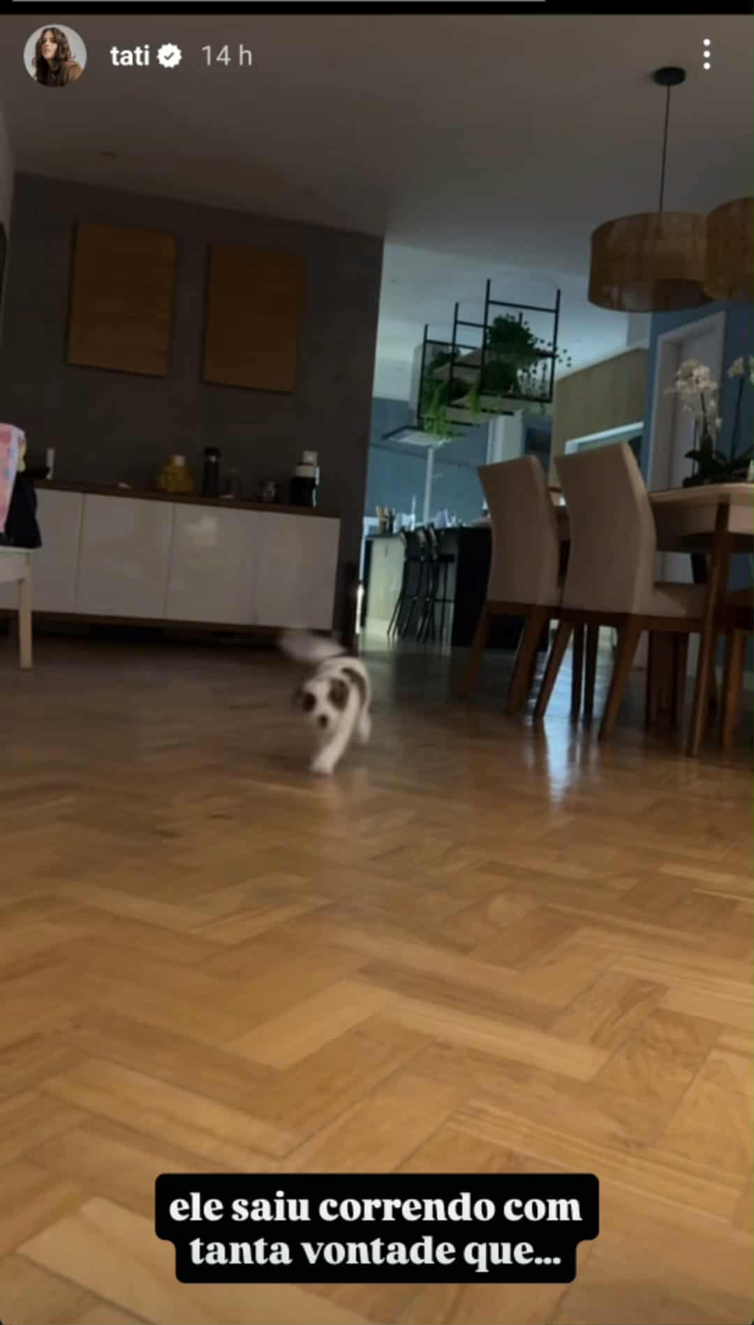 Tati Machado sofre acidente com o cachorro