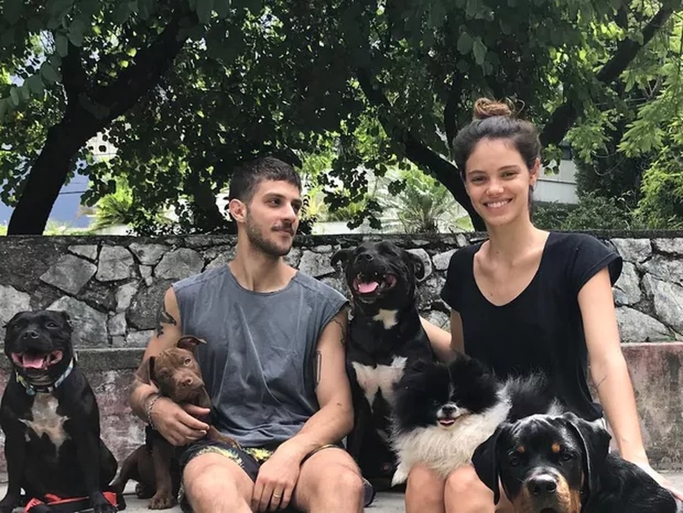 Chay Suede e Laura Neiva com os pets - Reprodução/Instagram @neivalaura