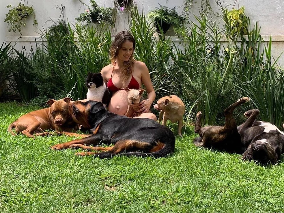 Laura Neiva com os pets - Reprodução/Instagram @neivalaura