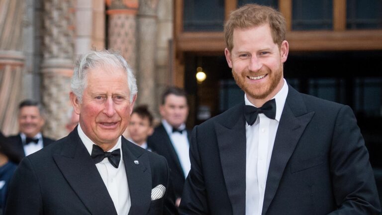 Príncipe Harry reage ao ver boatos sobre seu encontro com o pai, Rei Charles III