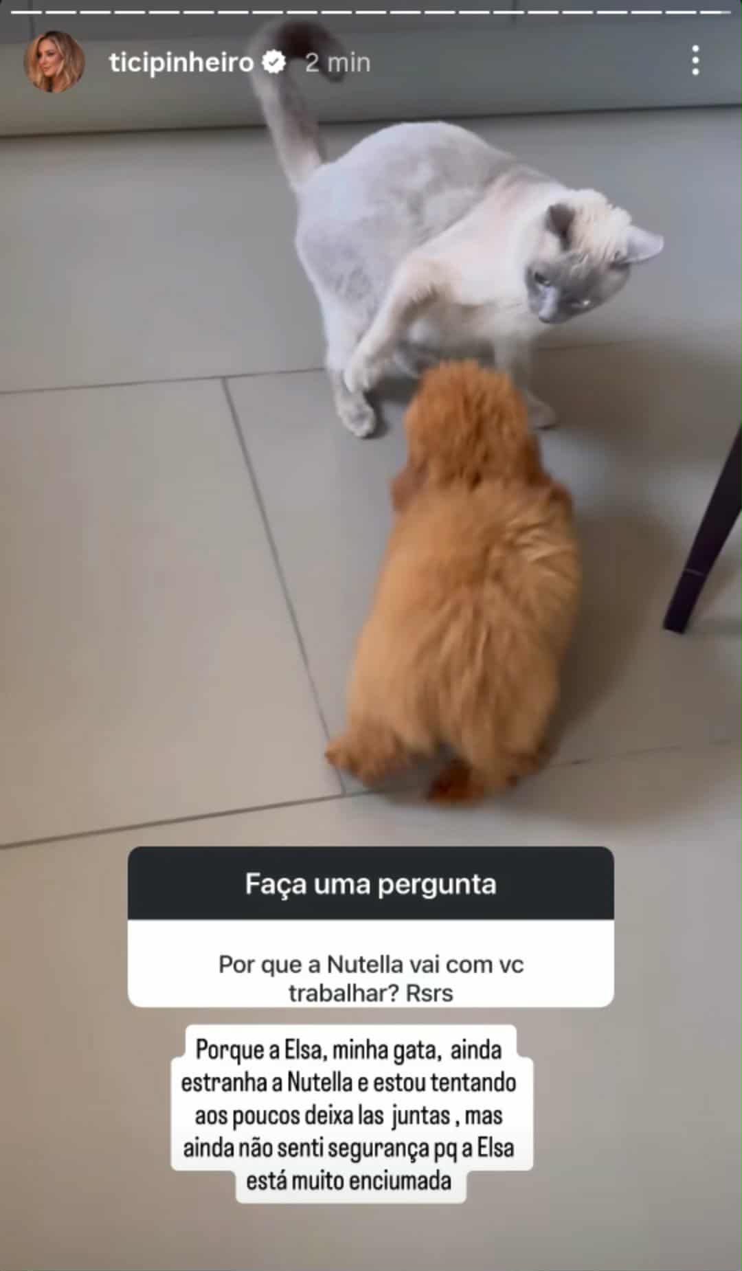 Ticiane Pinheiro explica por que leva cachorrinha para o trabalho