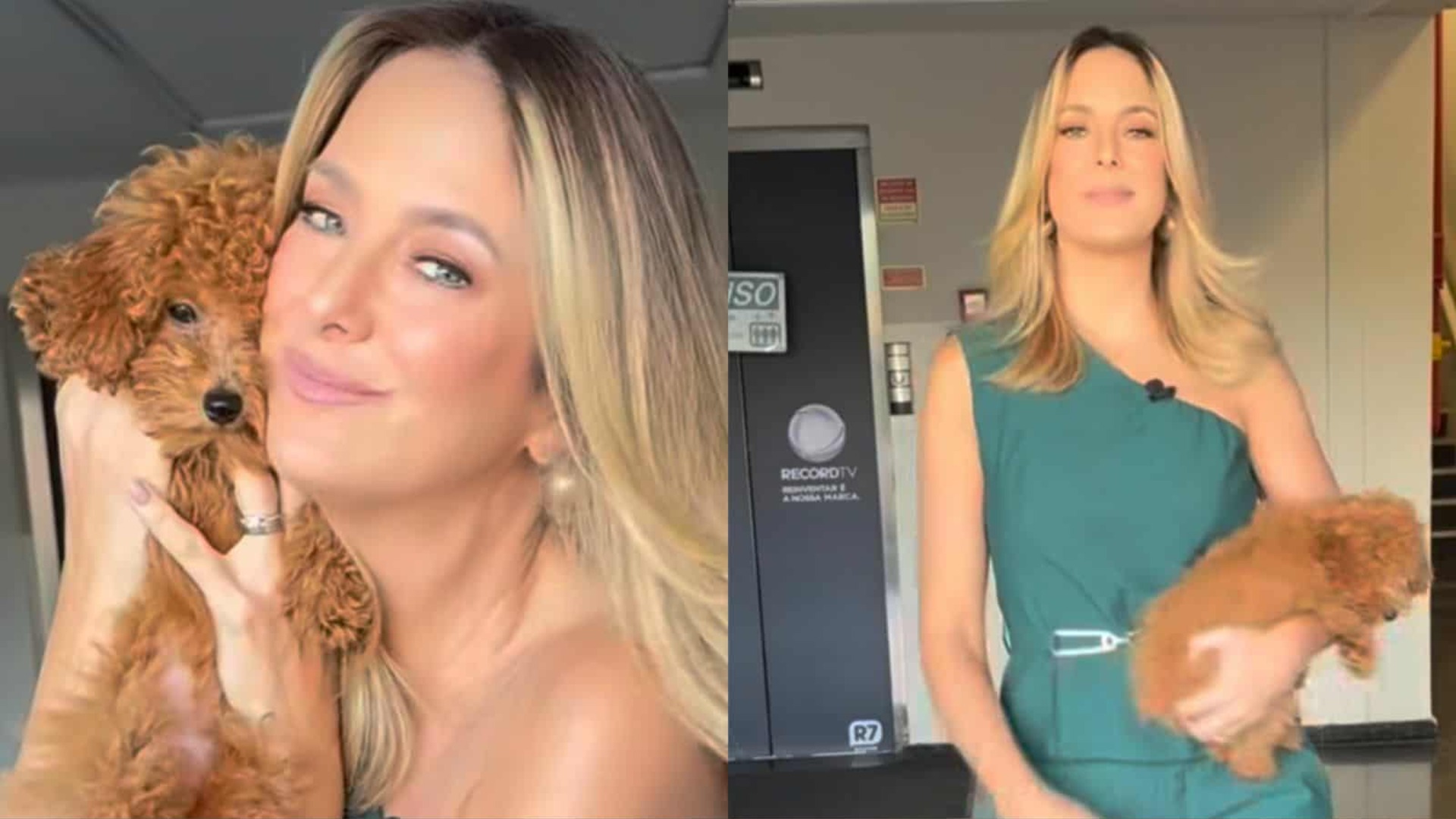 Ticiane Pinheiro diz por que está levando sua cachorrinha para o trabalho