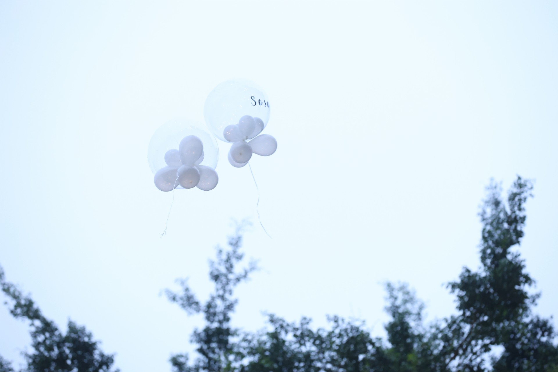 Homenagem de Lexa e Ricardo Vianna para a filha Sofia - Foto: Daniel Pinheiro/BrazilNews