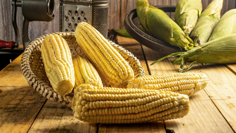 5 receitas para usar o milho verde; alimento é o cereal mais produzido do planeta