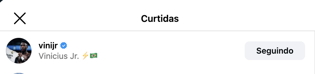 Curtida de Vini Jr em foto de Virginia - Foto: Reprodução / Instagram