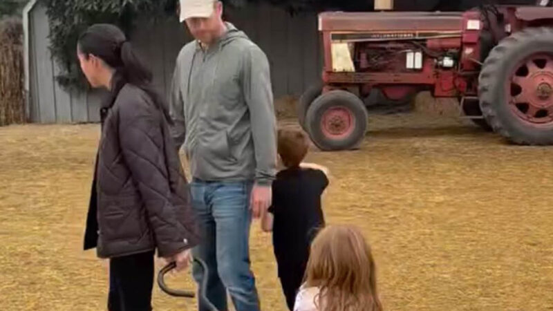 Meghan Markle e príncipe Harry compartilham momento com Archie e Lilibet - Foto: Reprodução / Instagram