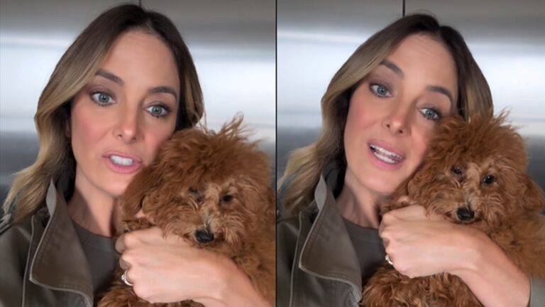 Ticiane Pinheiro passa sufoco com sua nova cachorrinha: ‘Assustada’