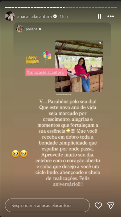 Storie de Ana Castela - Foto: Reprodução/Instagram @anacastelacantora