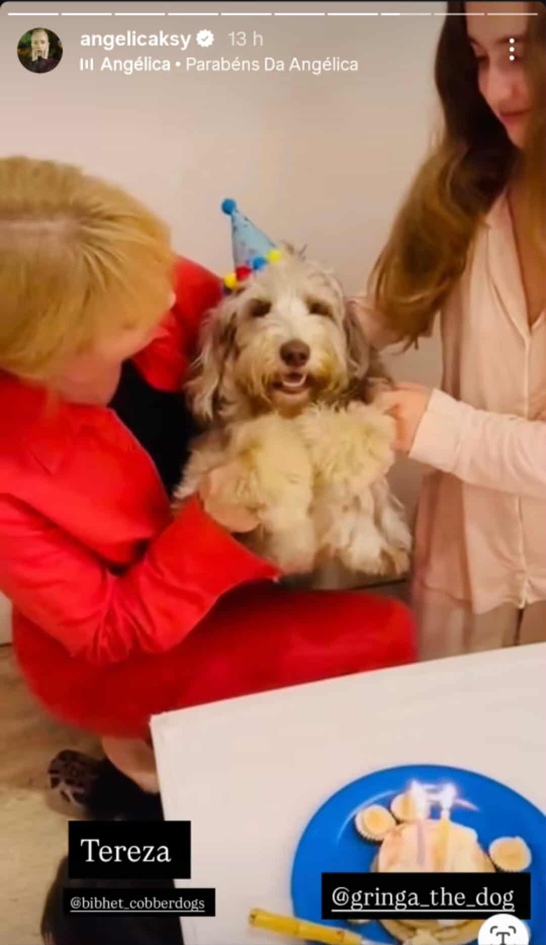 Angélica comemora aniversário da cachorra - Foto: @angelica