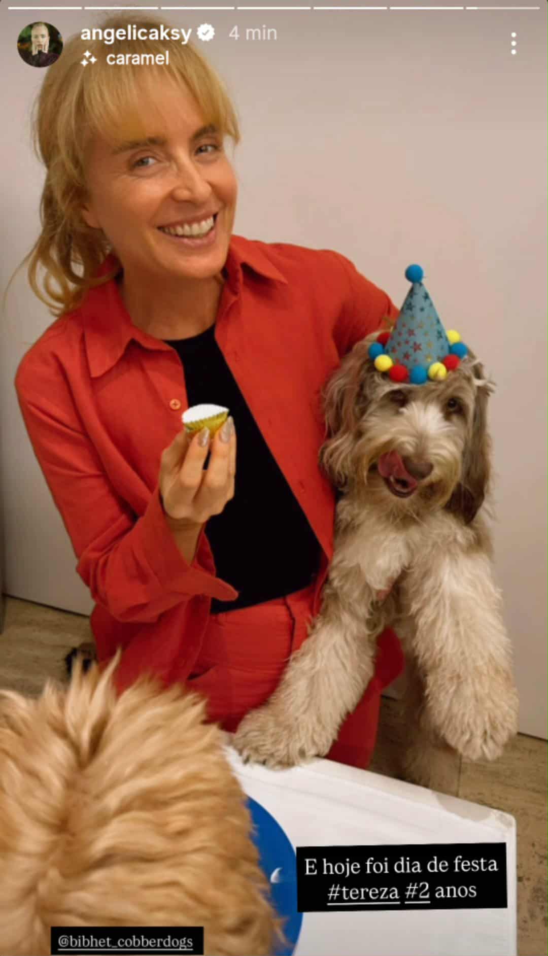 Angélica comemora aniversário da cachorra - Foto: @angelica