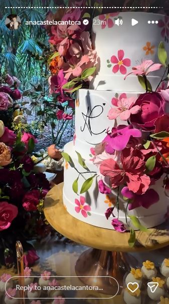 Bolo de aniversário de Ana Castela - Foto: Reprodução / Instagram