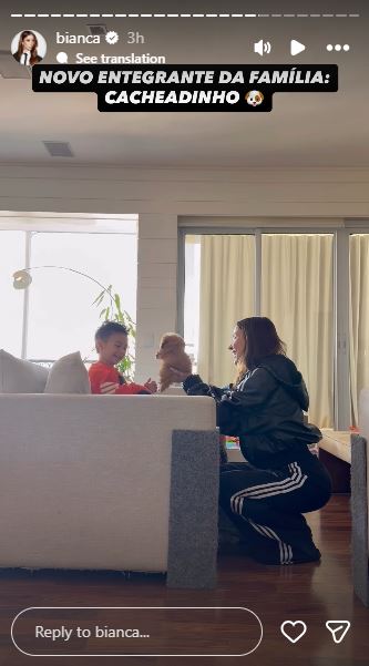 Cris ganha um novo cachorrinho - Foto: Reprodução / Instagram