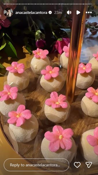 Docinhos do aniversário de Ana Castela - Foto: Reprodução / Instagram
