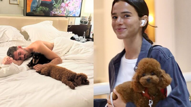 Bruna Marquezine e João Guilherme com os pets - Reprodução/Instagram e Priscila Silva/AgNews