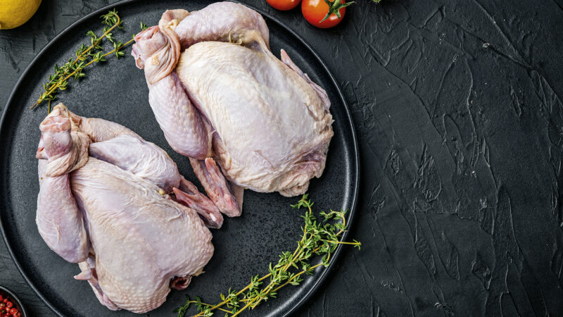 5 receitas do econômico ao light para fazer com frango de leite; veja