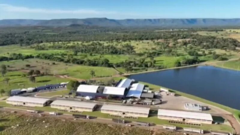 Dupla sertaneja que fatura R$ 71 milhões em leilão de gados tem fazenda milionária no Tocantis; fotos