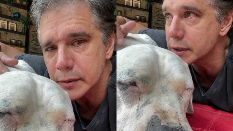 Marcio Garcia enfrenta drama com cachorro doente