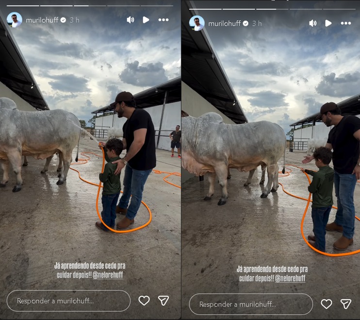 Murilo Huff mostra o filho, Léo, cuidando de vaca — Foto: Reprodução/ Instagram @murilohuff