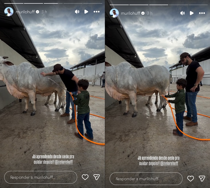Murilo Huff mostra o filho, Léo, cuidando de vaca — Foto: Reprodução/ Instagram @murilohuff