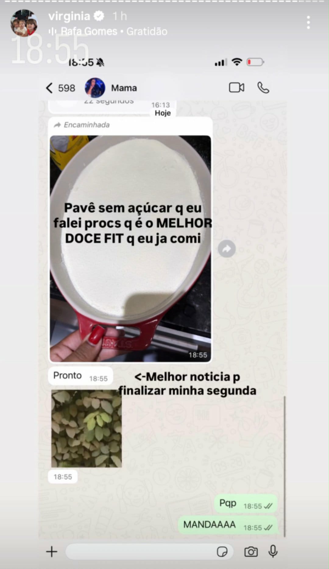 Virginia mostra conversa com a mãe de Vini Jr.