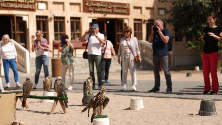 Como a população do Qatar se relaciona com os animais? Vendas chegam a US$ 250 mil