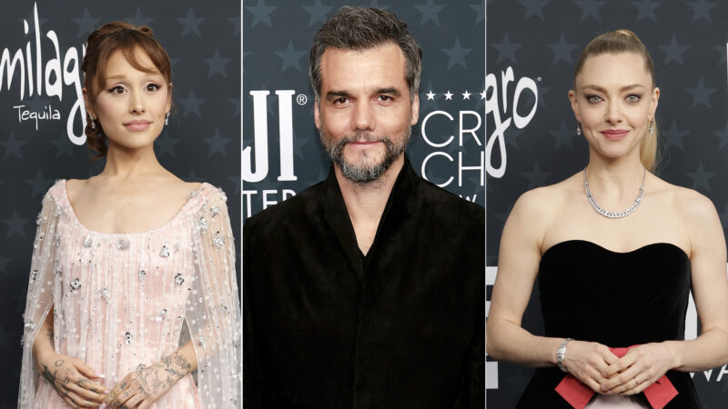 Veja os looks dos famosos no Critics Choice Awards 2026