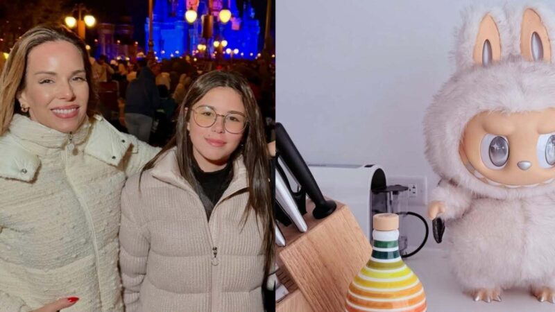 Saiba quanto custa enfeite de desejo do apartamento da filha de Ana furtado em NY