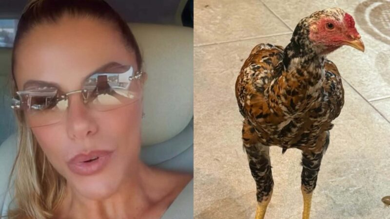 Poliana Rocha revela o que fará com a galinha que ganhou de Natal: ‘Não para’