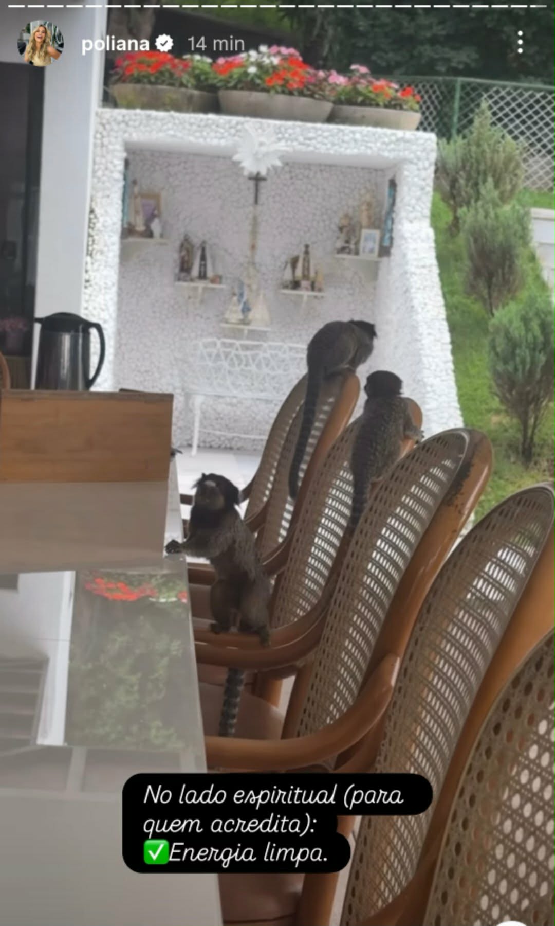 Poliana Rocha mostra invasão em sua casa e de Leonardo - Foto: @poliana