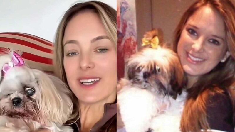 Ticiane Pinheiro comemora 18 anos de sua cachorrinha e comove: ‘Companheirismo’