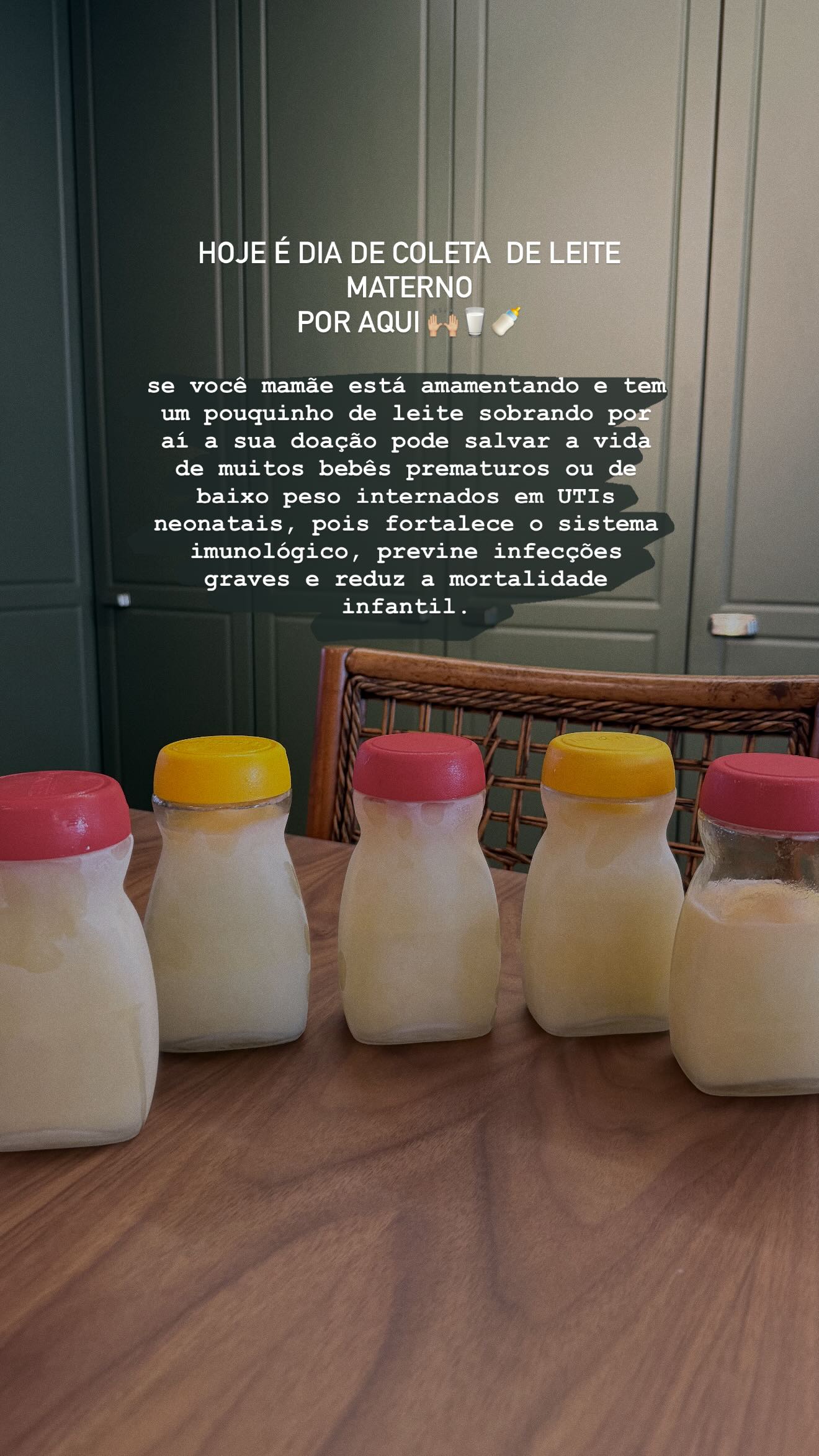 Camila Queiroz fala sobre doação de leite materno - Foto: Reprodução / Instagram