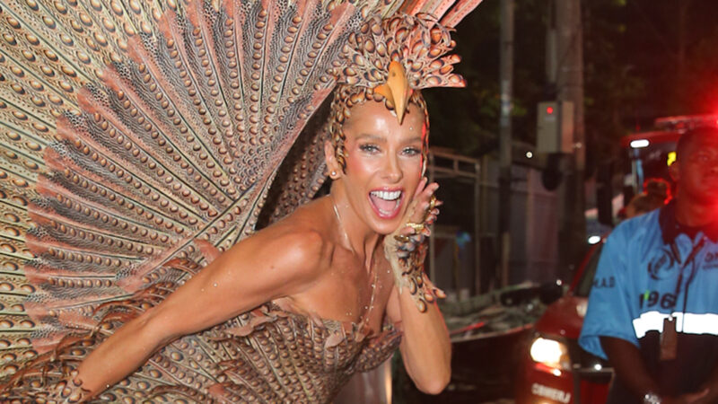 Adriane Galisteu arrasa com fantasia de falcão no desfile da Portela na Sapucaí
