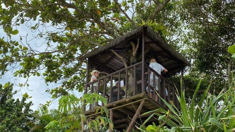 Apresentadora da Globo é dona de casa avaliada em R$ 14 milhões; imóvel fica na praia e possui mirante
