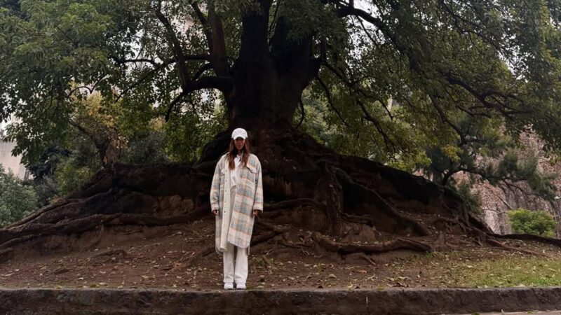 Anitta - Foto: Reprodução / Instagram