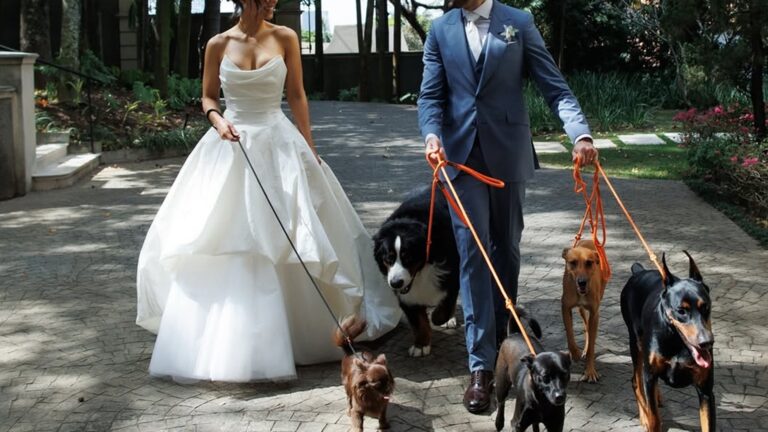 Aos 27 anos, cantora e filha de apresentador trocou presentes de casamento por doações a animais