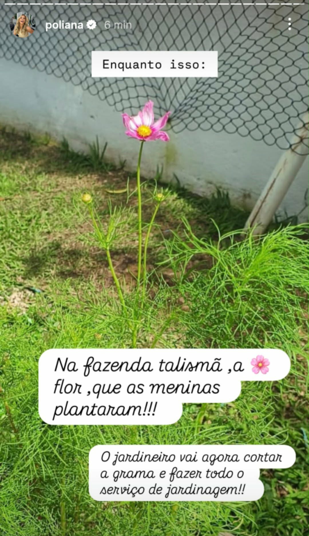 Poliana Rocha mostra o que as netas fizeram em seu jardim na Fazenda Talismã