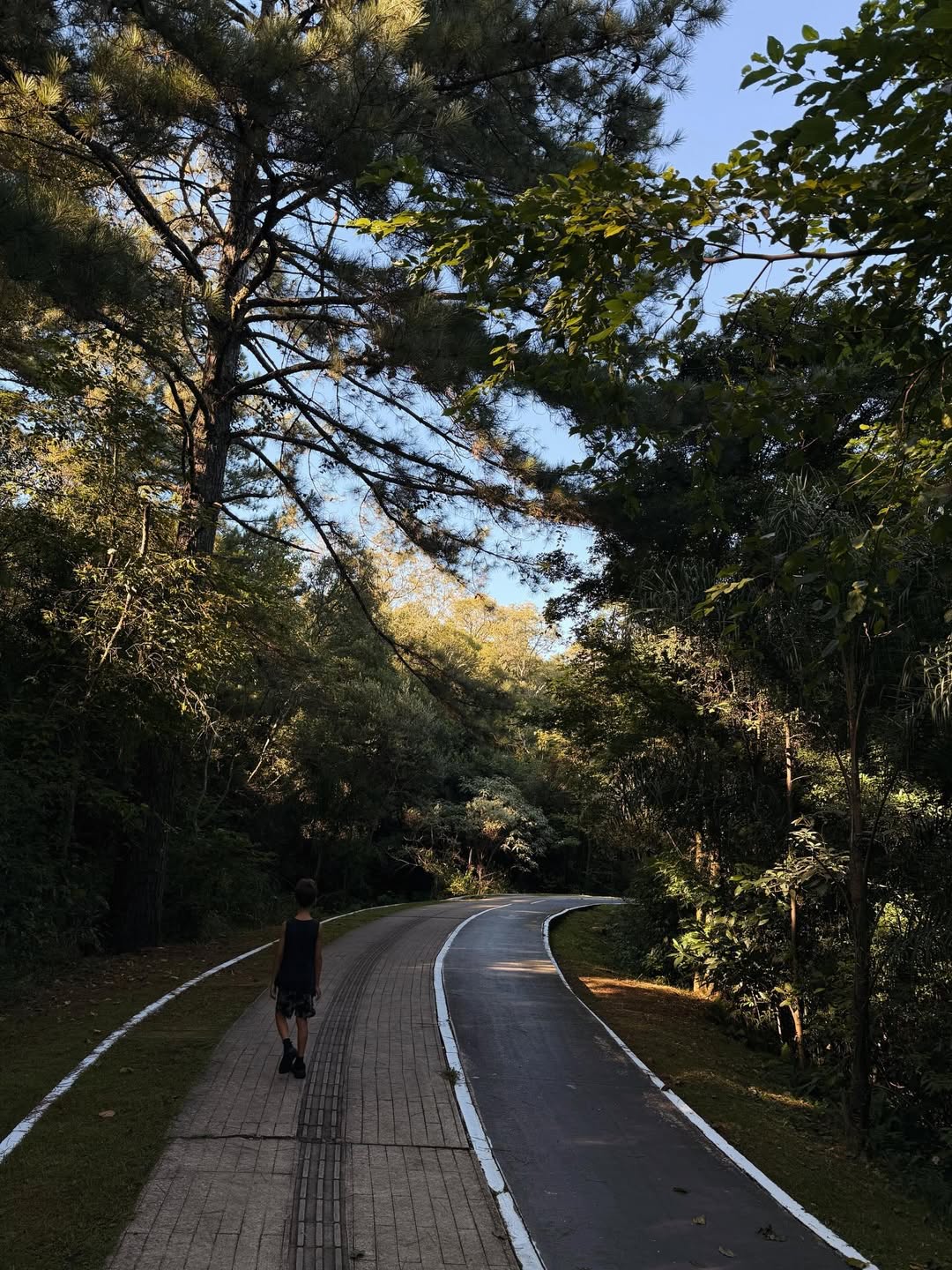 Mônica Benini abre álbum de fotos com os filhos - Foto: Instagram