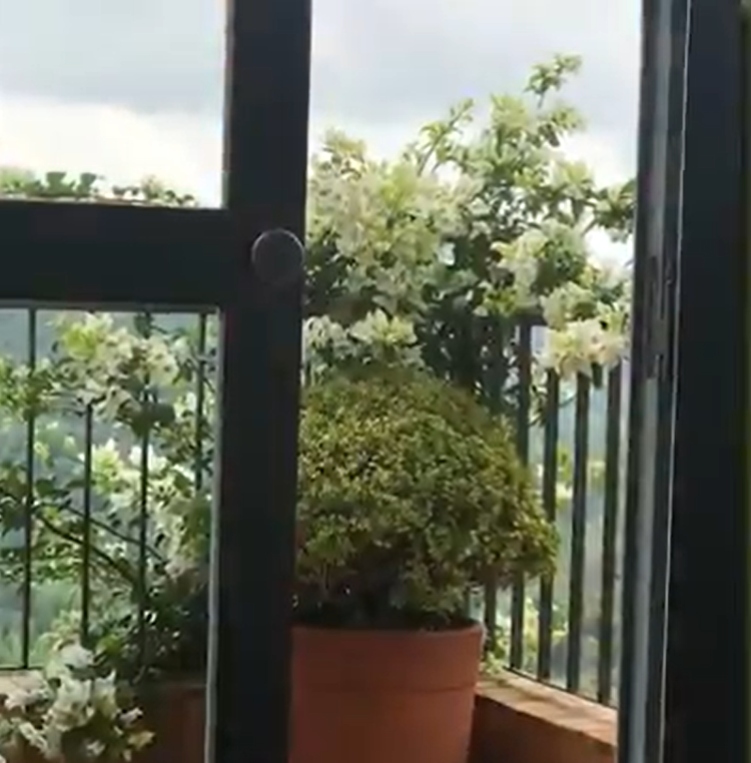 Casa de campo da jornalista da Globo