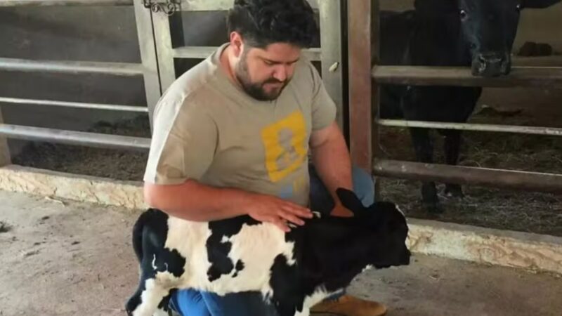 Com fortuna de mais de R$ 20 milhões, cantor sertanejo tem fazenda luxuosa com criação de mini animais