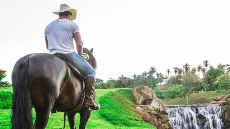Cantor sertanejo tem fazenda com cachoeira artificial e criação de cavalo de raça milionária