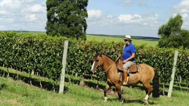 Aos 75 anos, ícone da televisão brasileira é dono de fazenda de luxo com mais de 100 hectares