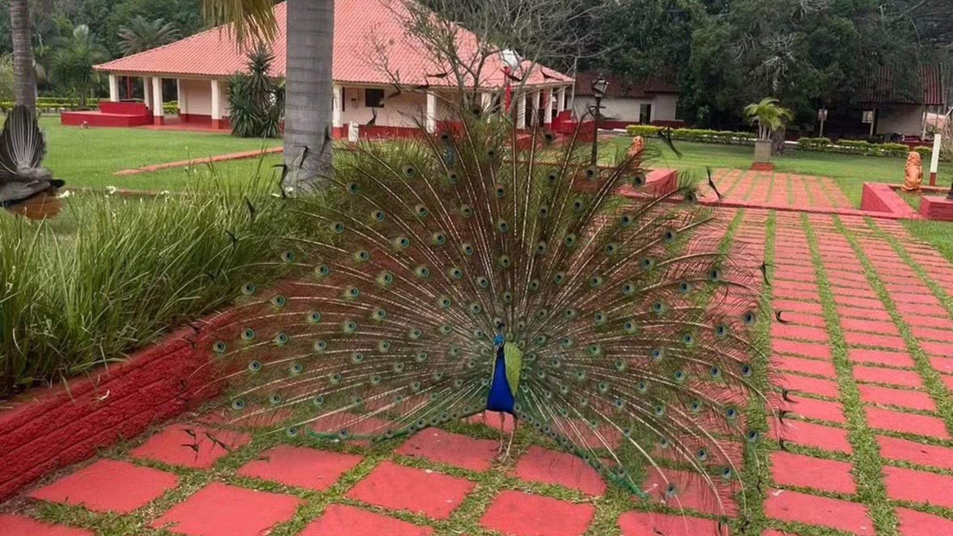 Fazenda do apresentador do SBR Ratinho