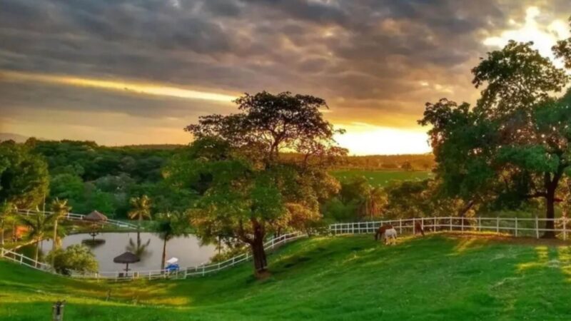 Aos 47 anos, cantor brasileiro investe em fazenda de R$ 30 milhões e jatinho de R$ 40 milhões em meio à fama