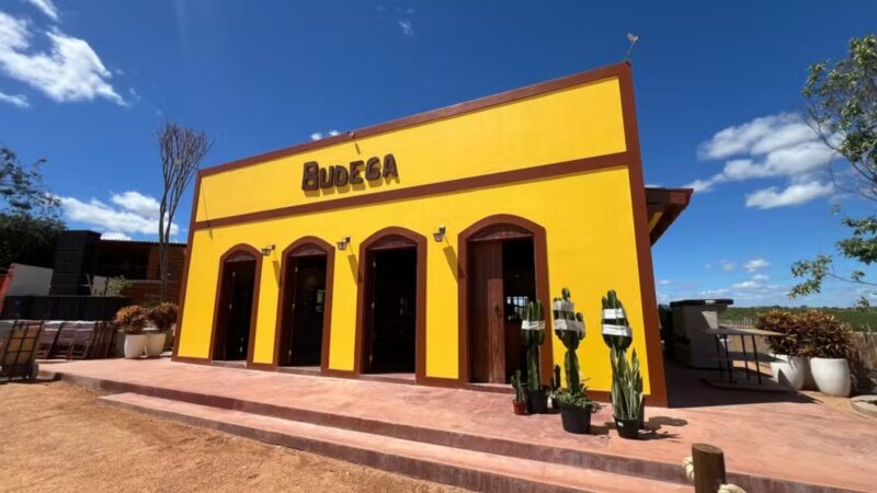 Aos 55 anos, cantor transforma fazenda no Nordeste em mini cidade milionária