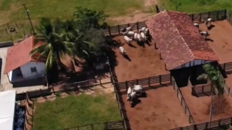Cantor sertanejo vai além dos palcos e aposta em novo negócio milionário no interior