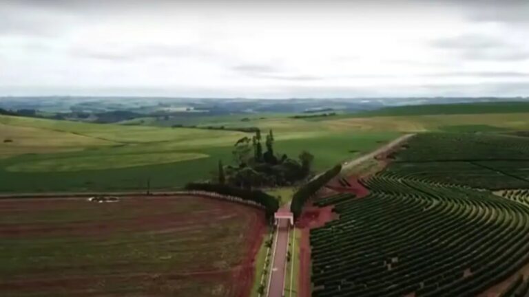 Apresentador é dono da maior fazenda de um estado inteiro, com 150 mil hectares às margens de rodovia