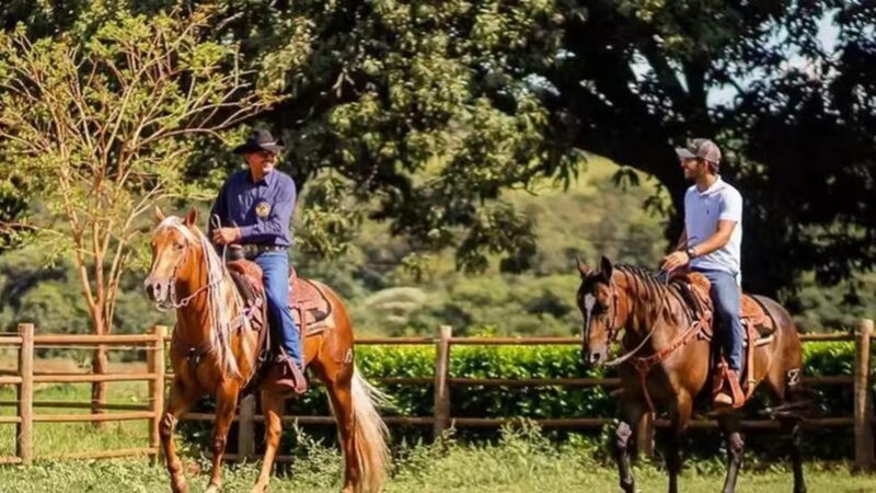 Aos 33 anos, jogador brasileiro é dono de fazenda de luxo com cavalos de elite e estrutura rural milionária