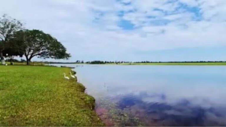 Aos 60 anos, ícone do sertanejo é dono de fazenda milionária com mais de 35 mil hectares e estrutura impressionante