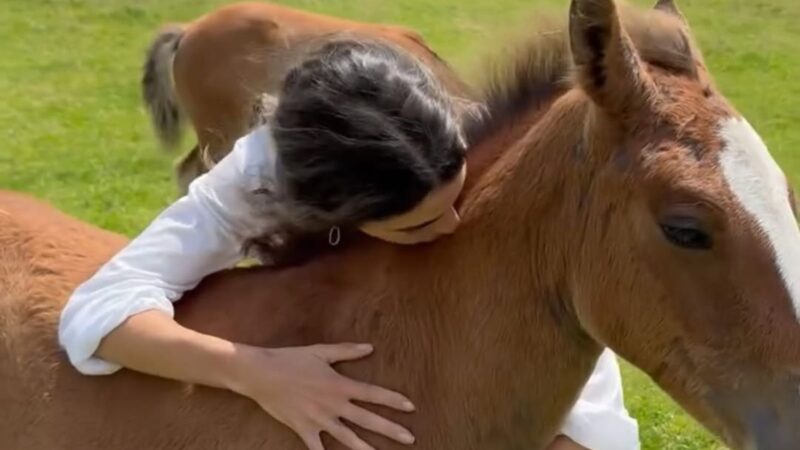Dona de fortuna de R$ 40 milhões, atriz de 38 anos deixa cidade para se isolar em fazenda com família