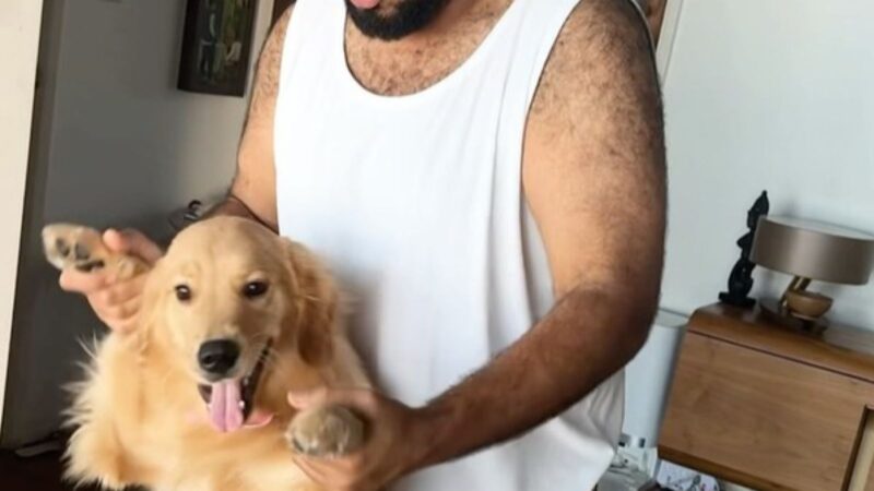 Paulo Vieira com sua cachorrinha Golden Retriever na sala do apartamento - Foto: Reprodução/Instagram